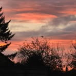 Anna Aubert - Facebook