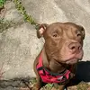 Anna Bean - @aanna.beann - TikTok