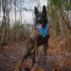 anna.bennett05 - @anna.bennett05 - TikTok
