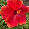 anna_bloom - @anna_bloom - TikTok