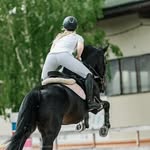 Anna Borodina - @anuta_and_dunfin - Instagram