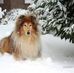 Anna Brandes - Facebook