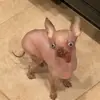 Anna - @anna.bravo64 - TikTok