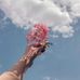 Anna Bravo - Facebook