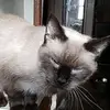 Anna Breeding461 - @annabreeding0 - TikTok