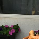 Anna & Brenna - @4sale.shit - Instagram