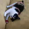 Anna Brunelli - @anna.brunelli7 - TikTok