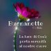 Anna Bucciarelli - Facebook