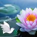 Anna-maria Bucciarelli - Facebook