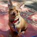 Anna Beckman - Facebook