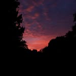 Anna Burkhardt - @anna_burkhardt_2007 - Instagram