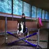 Anna Burkhardt - @annalovespets04 - TikTok