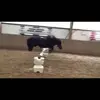 Anna Burkhardt - @linda_duffy - TikTok
