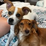 Anna Burton - @annaburton6069 - Instagram