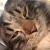 Anna Buss - @anna.grace.230 - TikTok