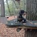 Anna Büsse - Facebook
