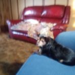 Anna Byford - Facebook