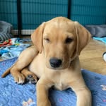 Anna Cairns - @annabanana3681 - Instagram