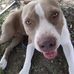 Anna Campo - Facebook