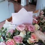 Anna Cappelli - @annacappelli7 - Instagram