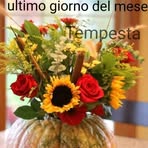 Anna Cappelli - Facebook
