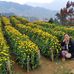 Anna Carbonell - Facebook