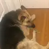 Ana Carias - @ana.carias53 - TikTok