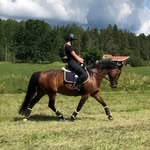 Lucky Thirteen (SWB) ”Tilly” ♡ - @annacarlsson__ - Instagram