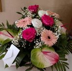 Anna Carnevale - Facebook