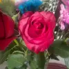 Anna Carrasco - @unrespirocadadia.123 - TikTok