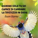 Anna Casale - Facebook