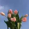 anna casillas - @anna.casillas0 - TikTok