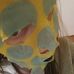 Anna Cates - Facebook