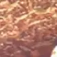 Anna cates - @anna.cates - TikTok