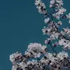 Anna Cates - @anna.cates1 - TikTok