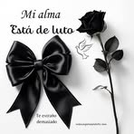 Ana Celeste - Facebook