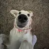 Anna Chaney - @annachaney1 - TikTok