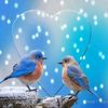 Anna Chauhan - @mdtouseef96 - TikTok