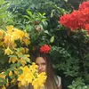 Anna Chiarello  - @annaachiarellooo - TikTok