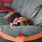 Anna Chini - @chinianna - Instagram
