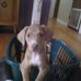 Anna Clayton - Facebook