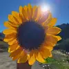 Anna Clayton - @anna.clayton4 - TikTok