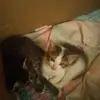 annaclayton083089 - @kayleebug52813 - TikTok