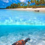 Anna Constantine - @salvador.amo.3 - Instagram
