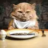Anna Constantinou663 - @annaconstantinou70 - TikTok