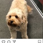 Anna Corbett - @corbettanna756 - Instagram