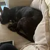 Anna Corbett - @anna.corbett6 - TikTok