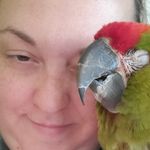 Anna Cramer Schinelli - @bareloaf - Instagram