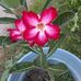 Ana Cueto - Facebook