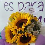 Anna LiLia Cueto - @anacueto73 - Instagram